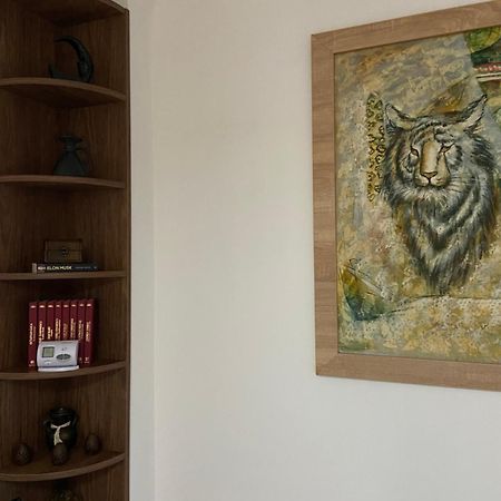 Villa Casa Mountain View Braşov Esterno foto