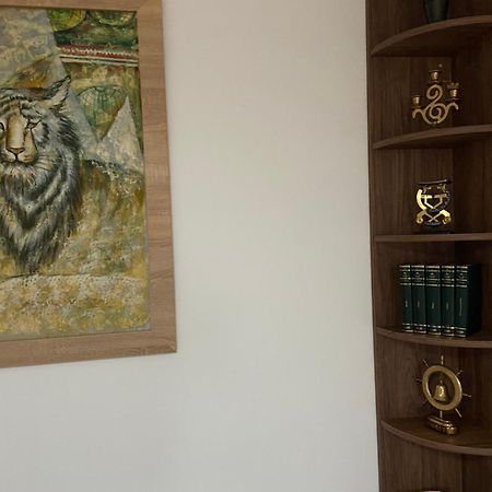 Villa Casa Mountain View Braşov Esterno foto