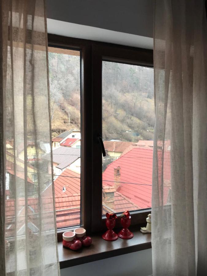 Villa Casa Mountain View Braşov Esterno foto