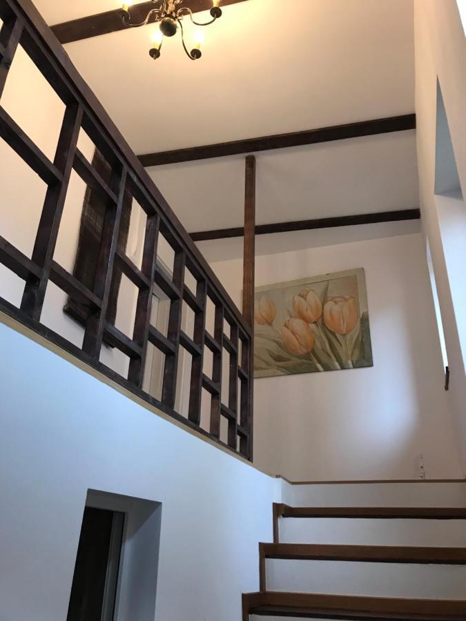 Villa Casa Mountain View Braşov Esterno foto