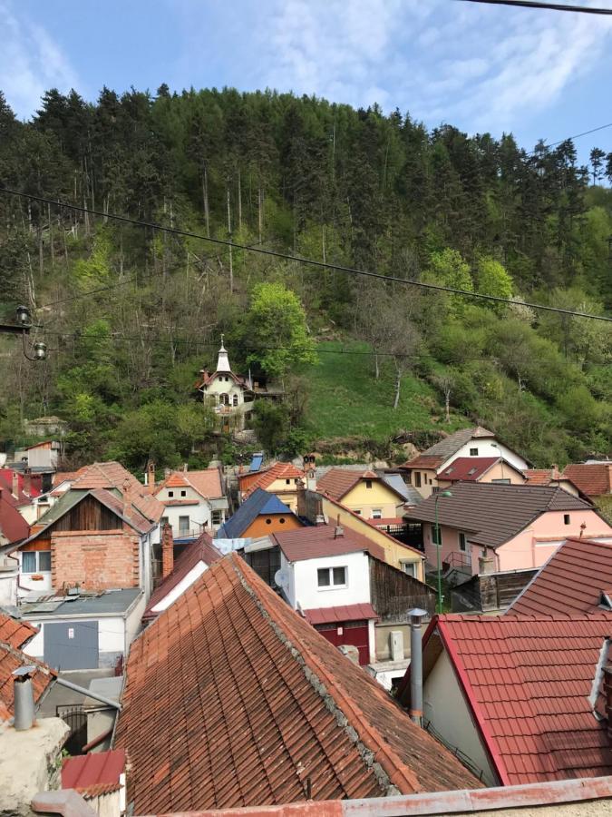 Villa Casa Mountain View Braşov Esterno foto
