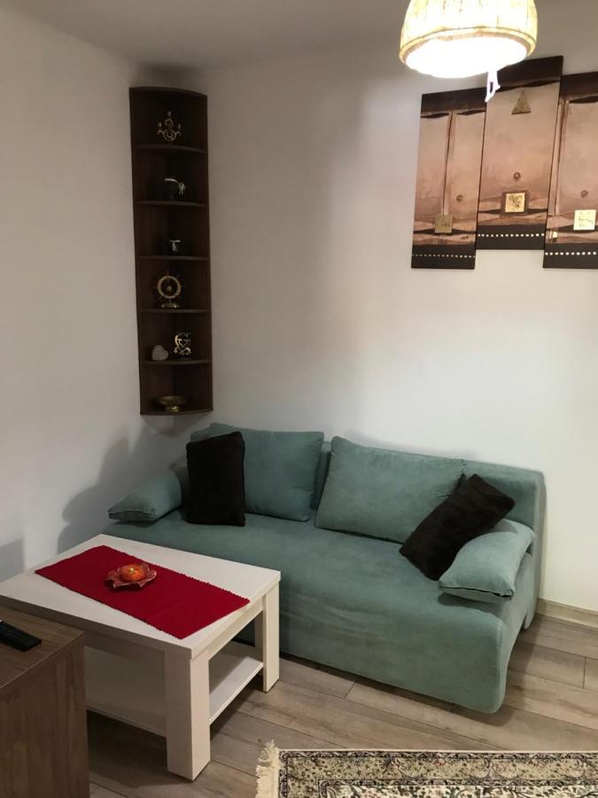Villa Casa Mountain View Braşov Esterno foto