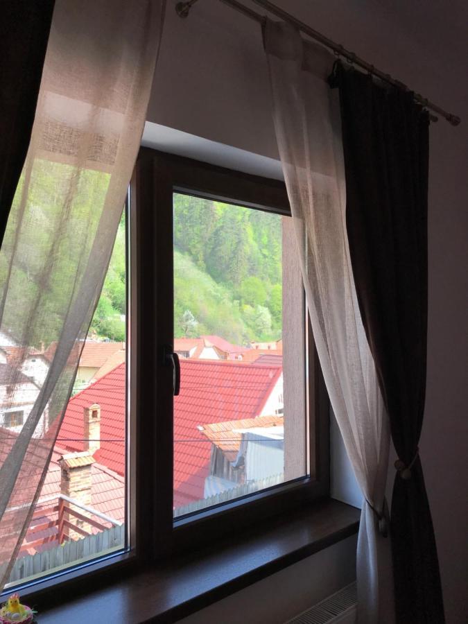 Villa Casa Mountain View Braşov Esterno foto