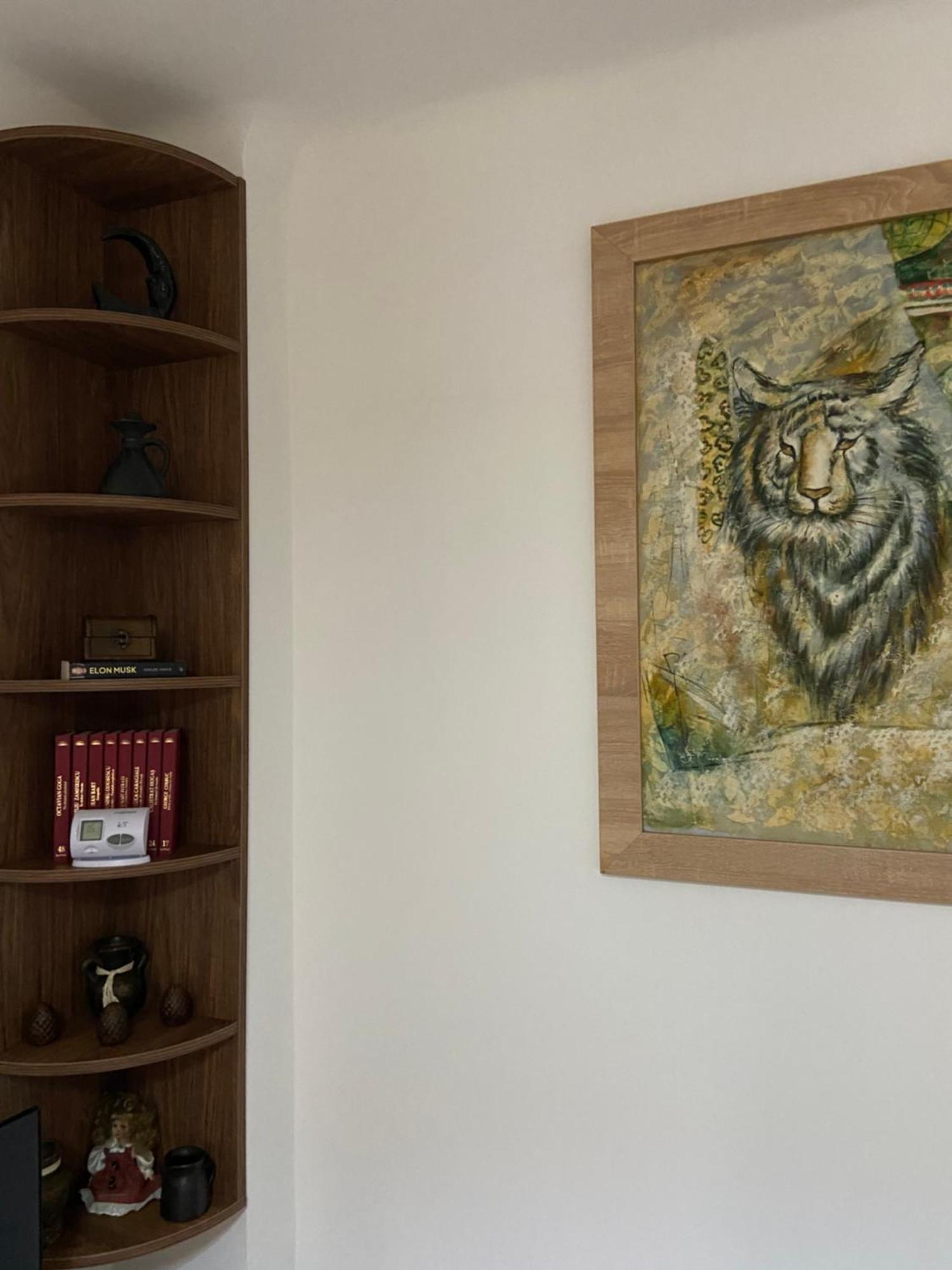 Villa Casa Mountain View Braşov Esterno foto