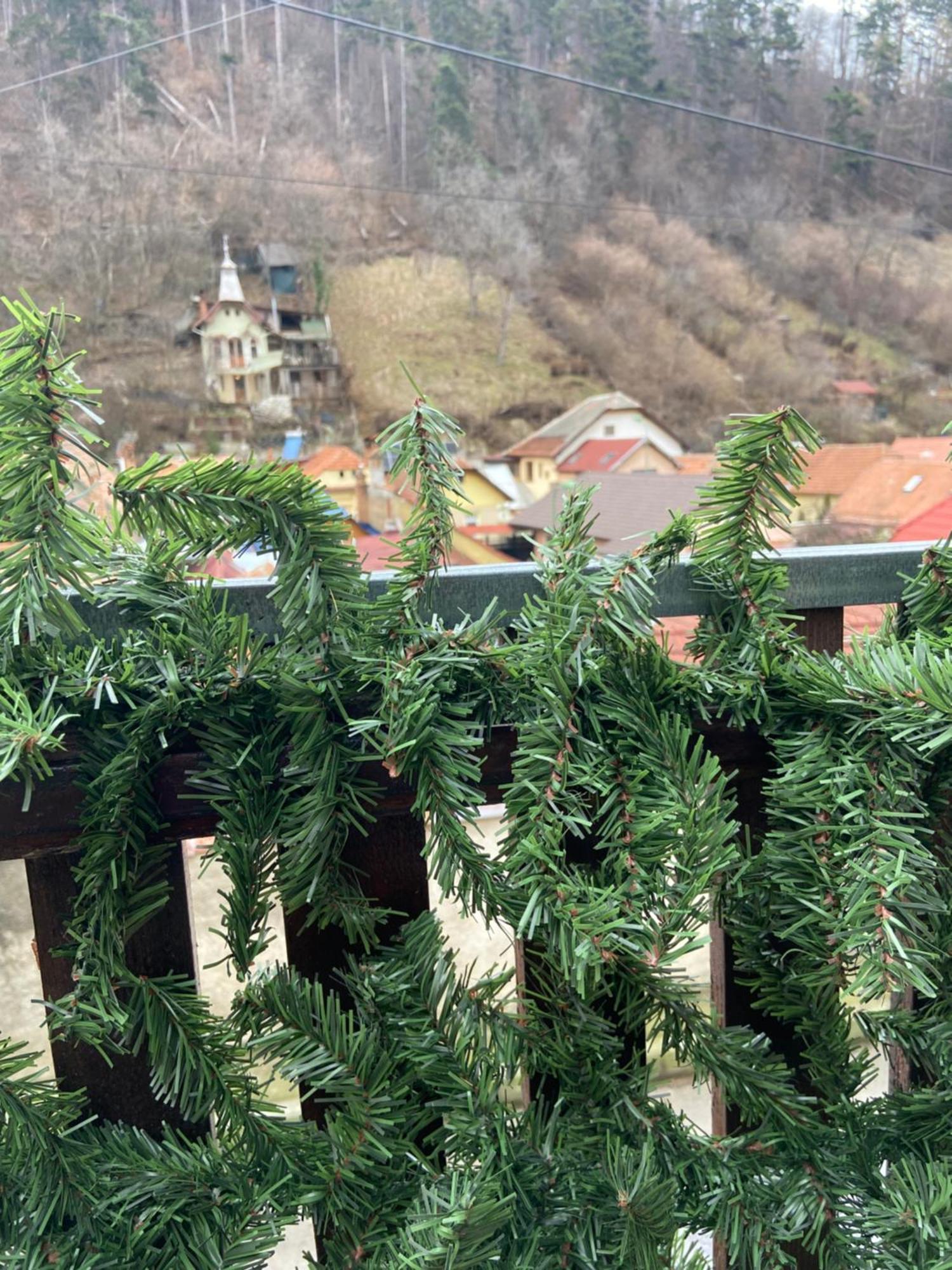 Villa Casa Mountain View Braşov Esterno foto