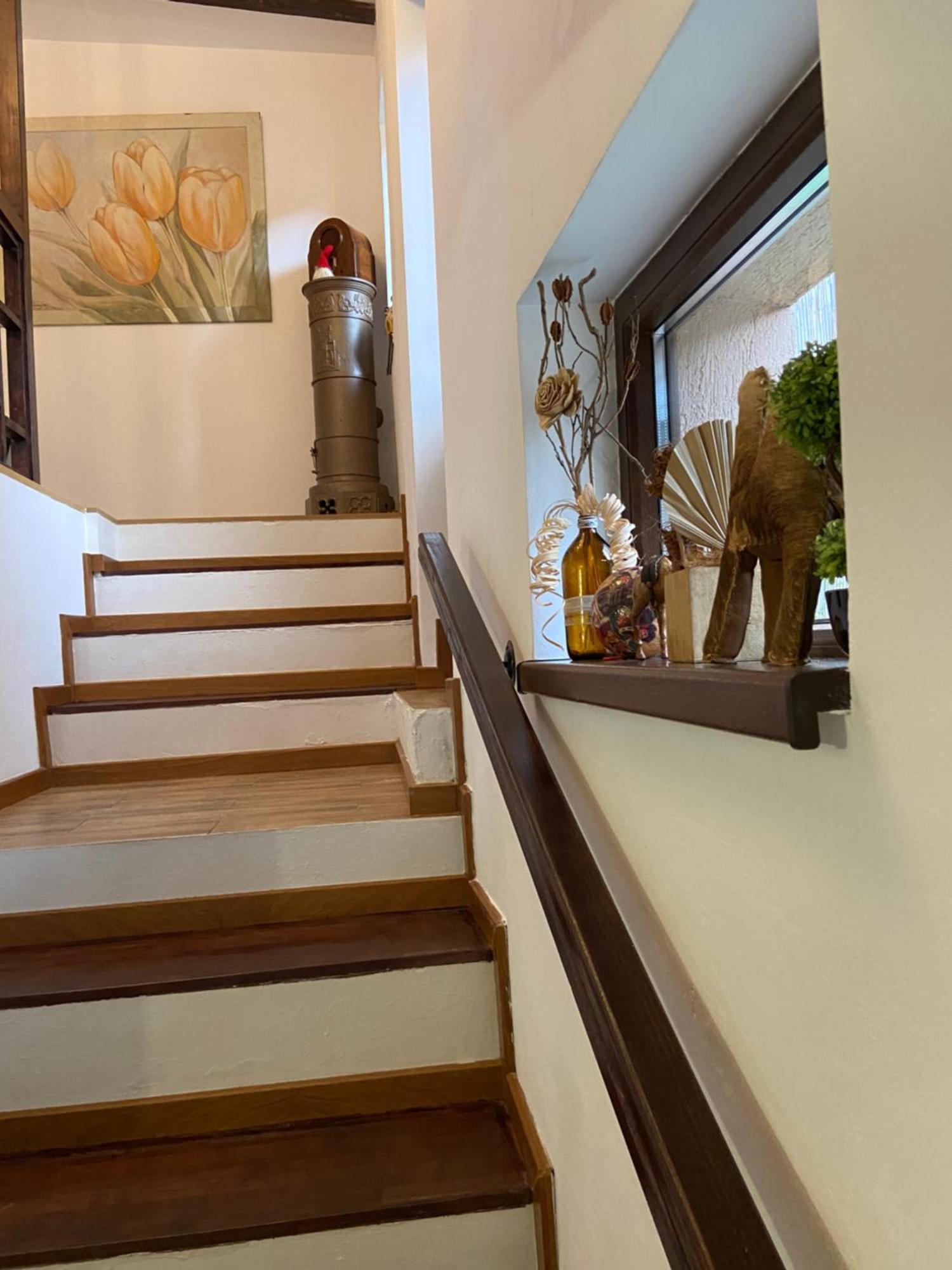 Villa Casa Mountain View Braşov Esterno foto
